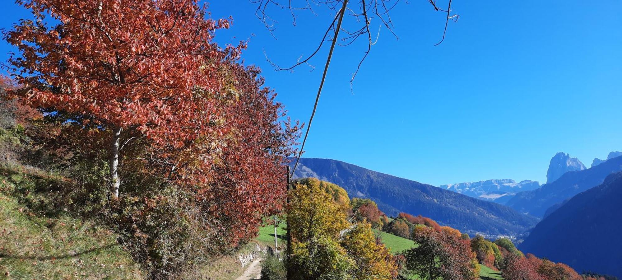 Appartamento Moarhof Gufidaun Chiusa Esterno foto
